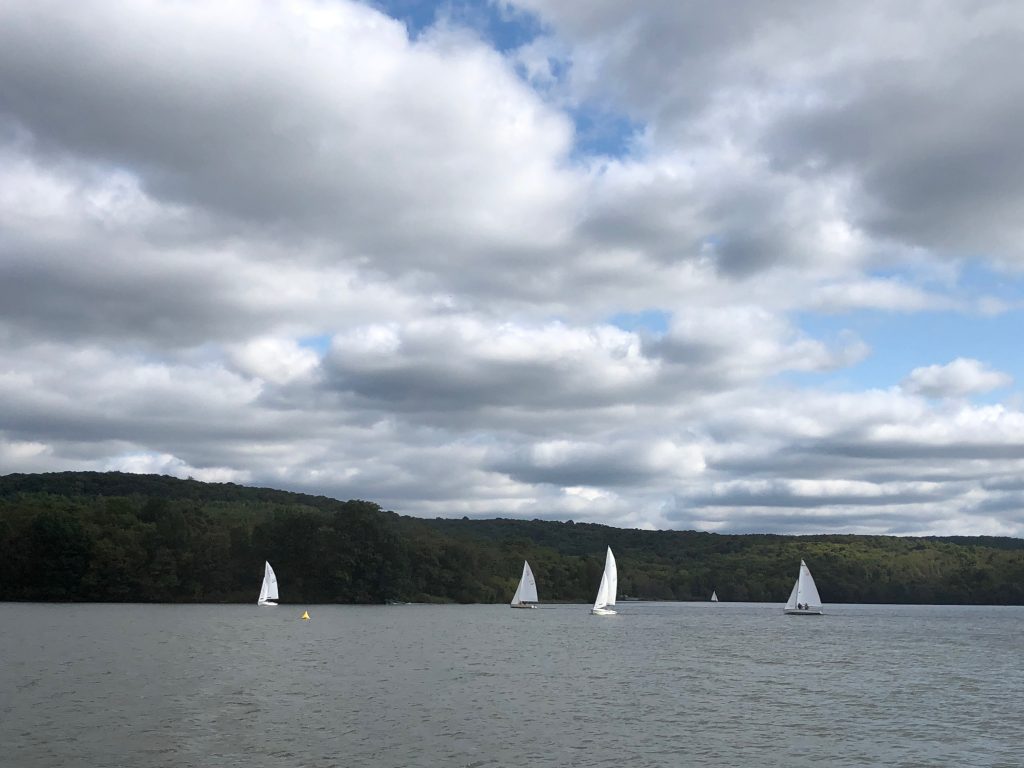 nautical nature boat ride