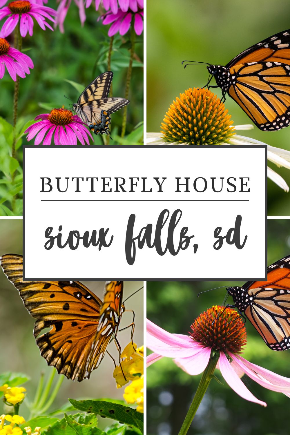 butterfly house sioux falls sd