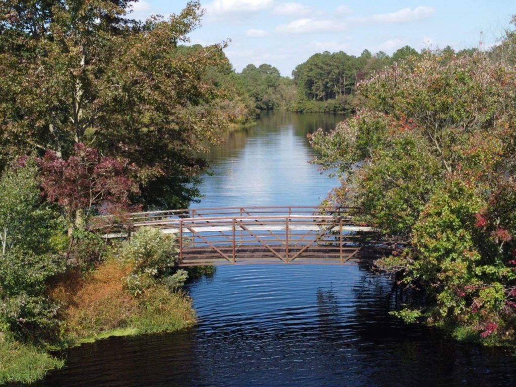 cabin lake