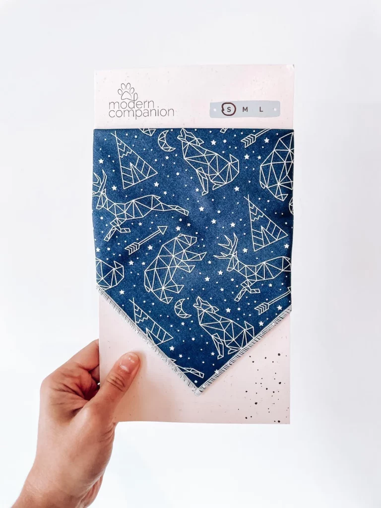 Photo of a pet Bandanna from Modern Companion.