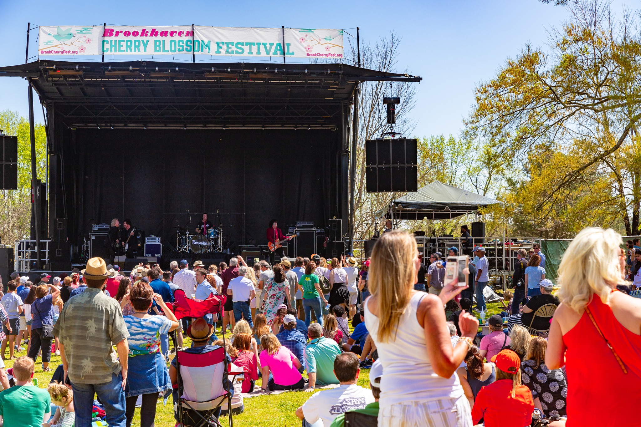 cherry blossom festival