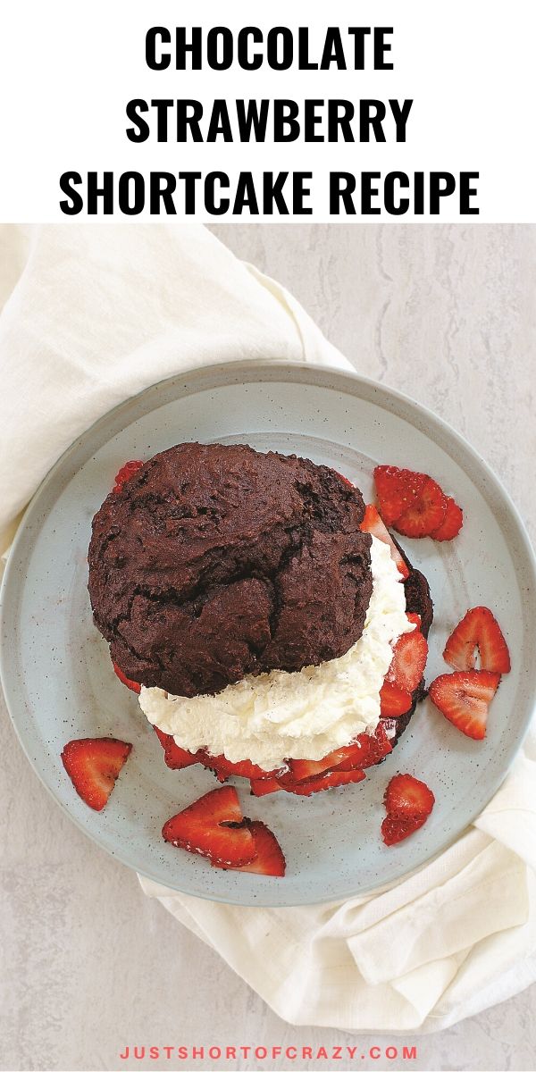 chocolate strawberry shortcake