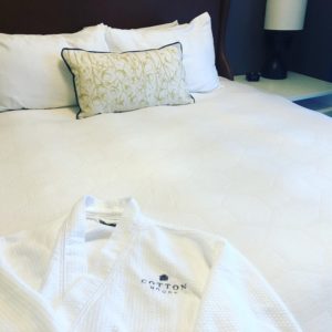 cozy bed cotton house