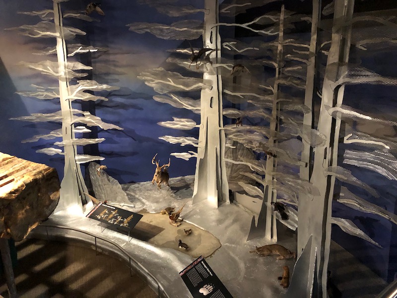 display inside Tunica RiverPark & Museum