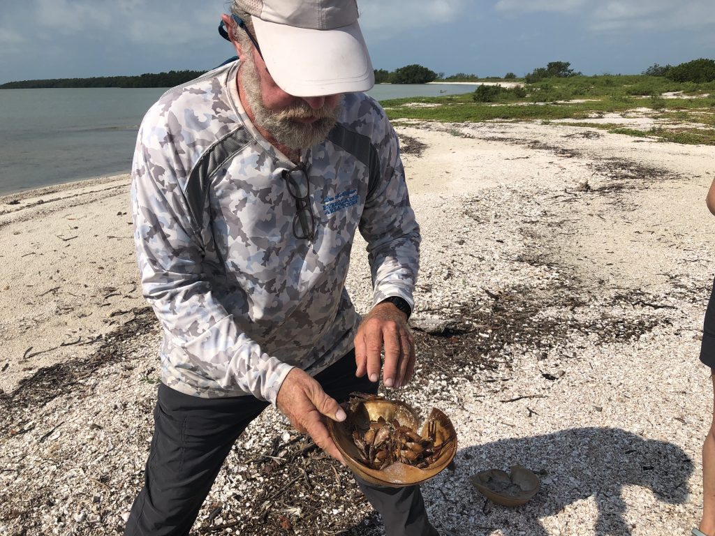 don sharing about marine life in the everglades