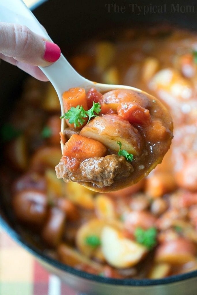 dutch-oven-stew