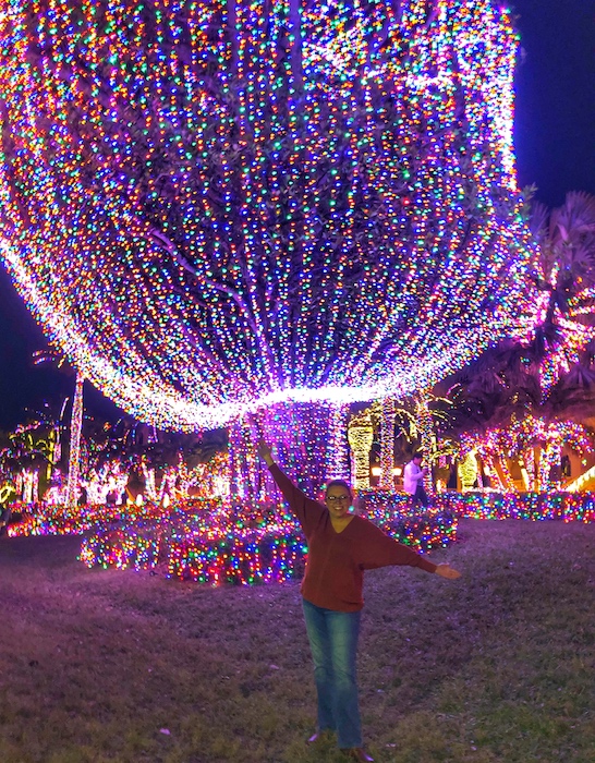 Jensen Beach Mansion Christmas Lights 3