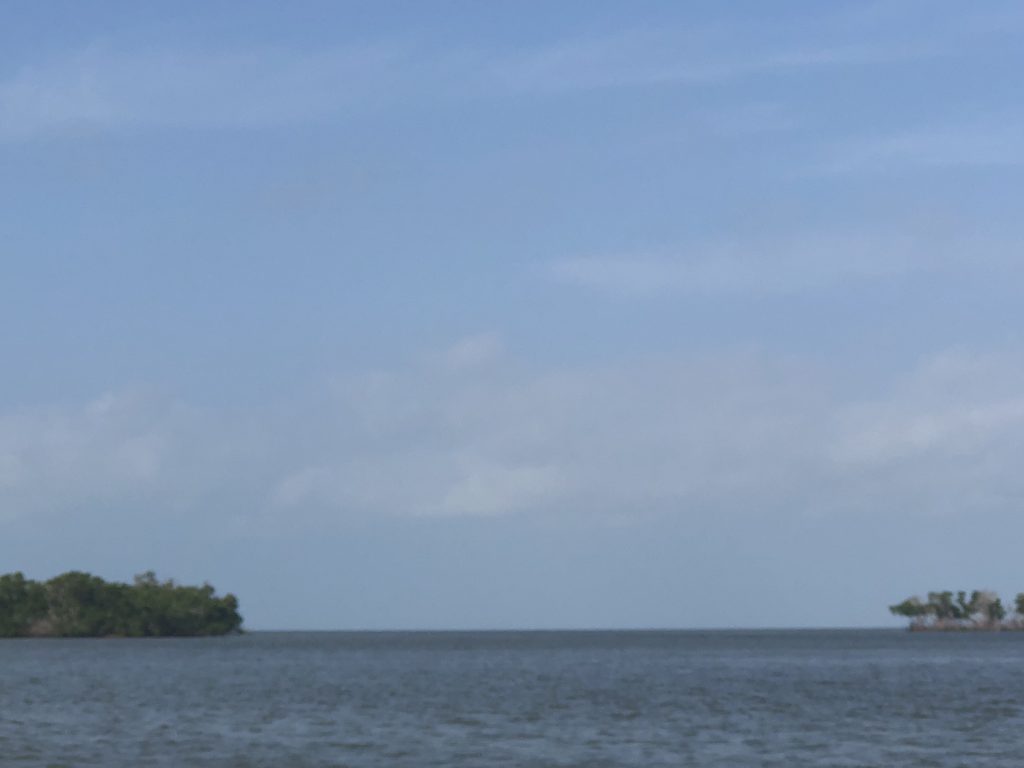 everglades national park from the water