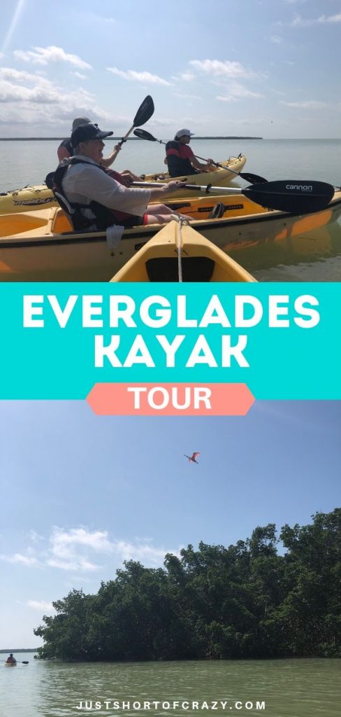 everglades tour