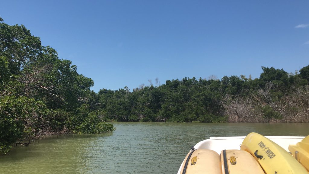 exploring the keys by boat in the florida everglades