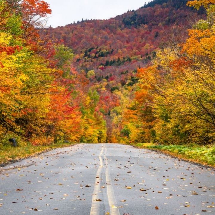 vermont fall foilage