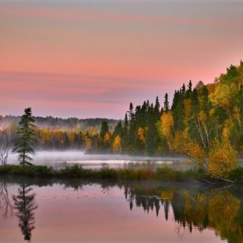 fall foilage 13