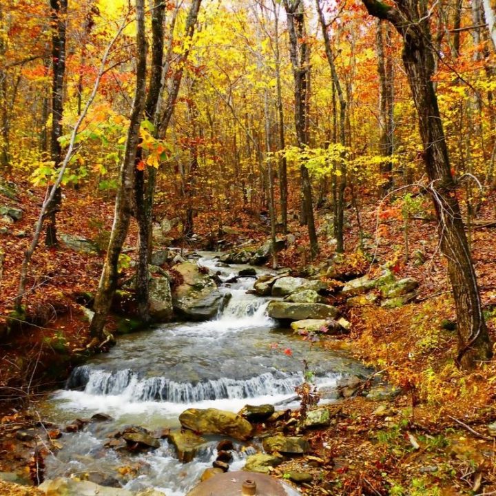 vermont fall foilage