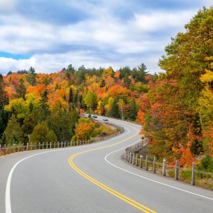 fall leaf peepers