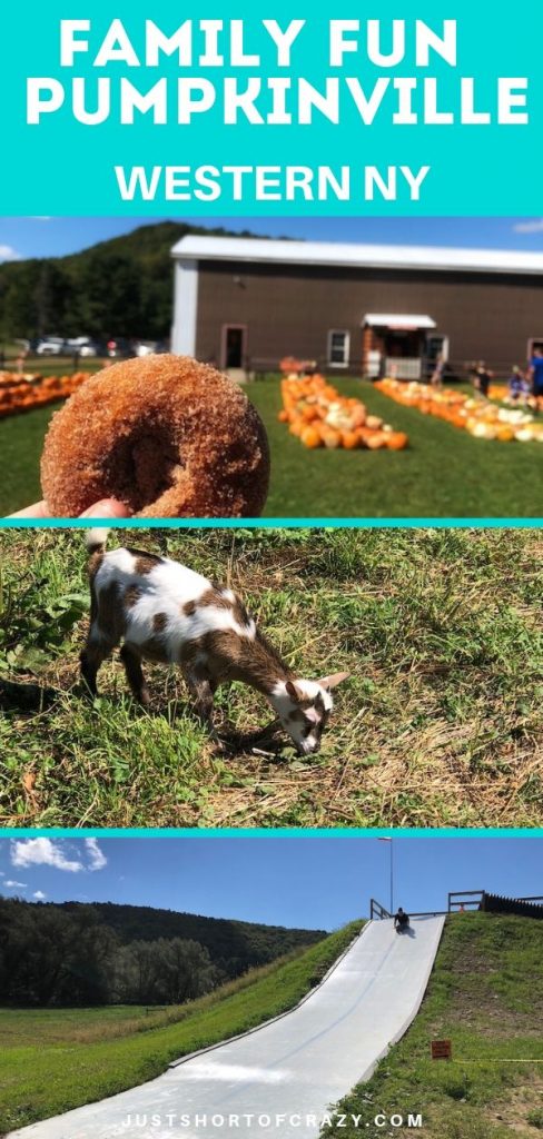 family fun at pumpkinville