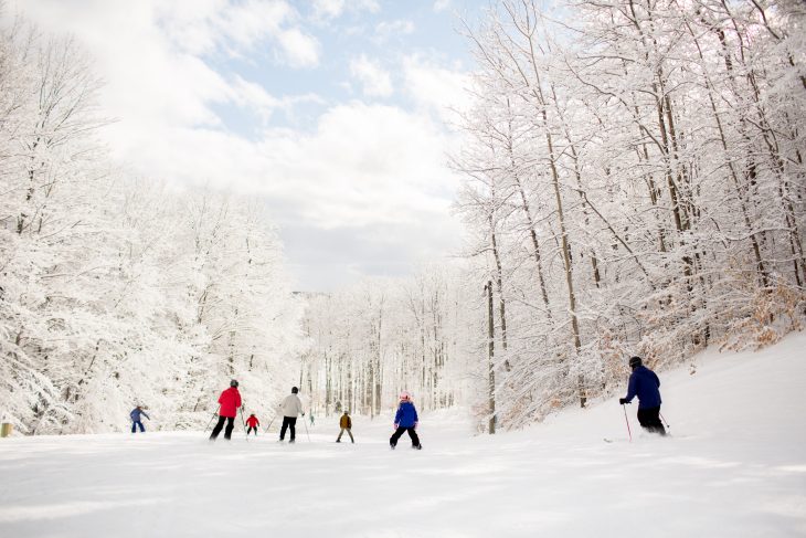 Photo of a group downhill skiing.