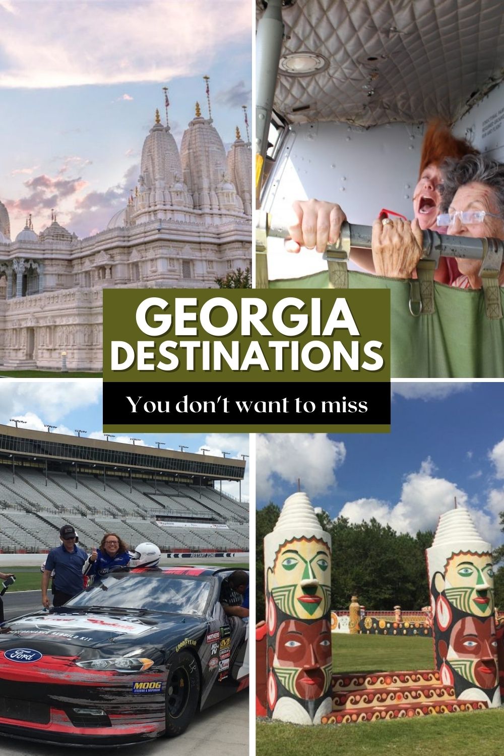 georgia destinations pin