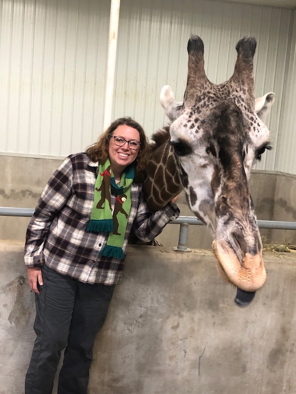 giraffe encounter wilstem