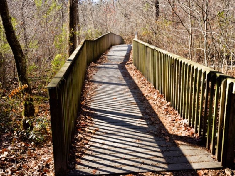 hiking trails helen ga