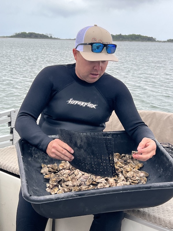 learning about oyster farming with ghost fleet oyster co