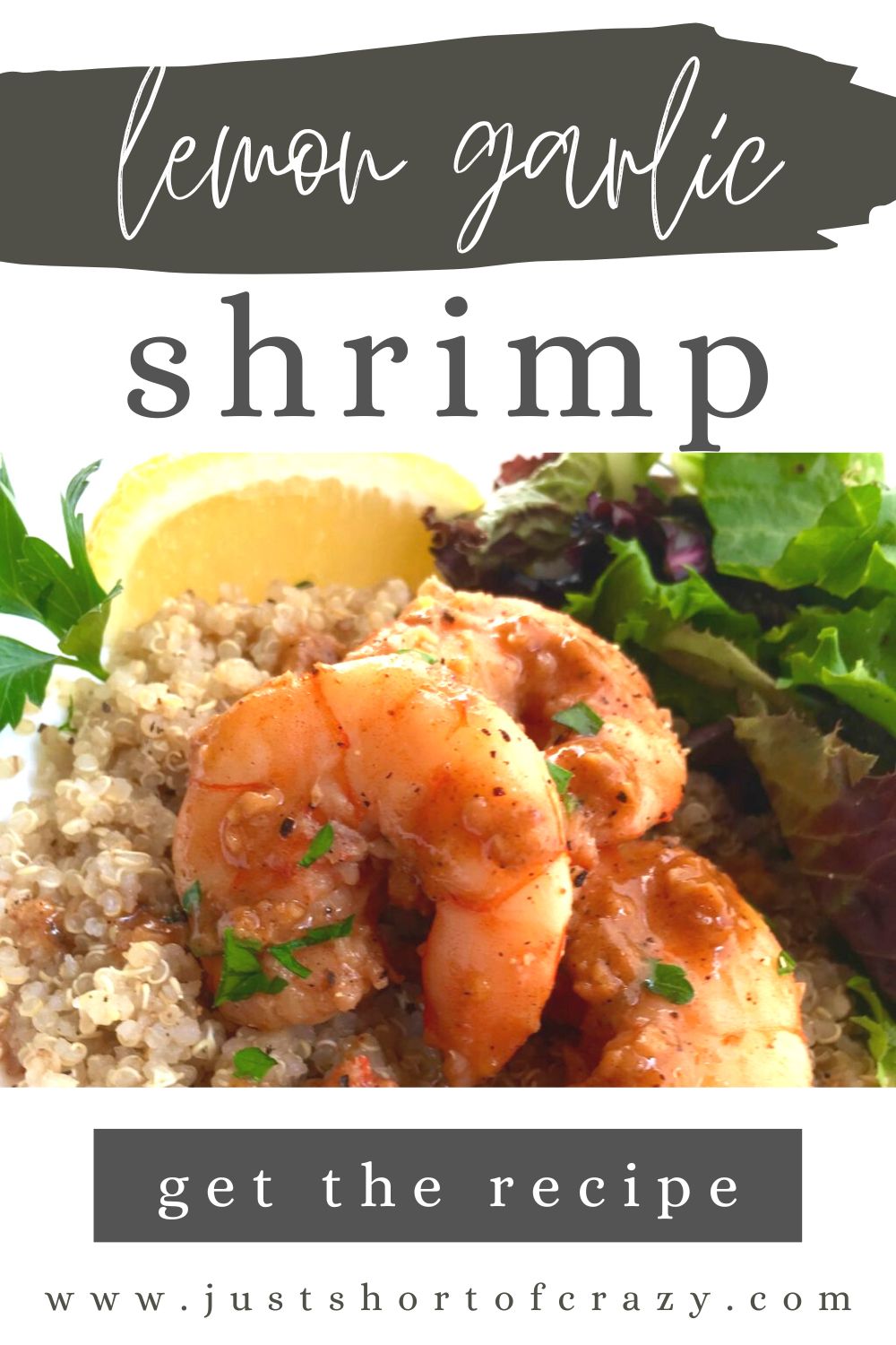 lemon garlic shrimp pinterest sized image