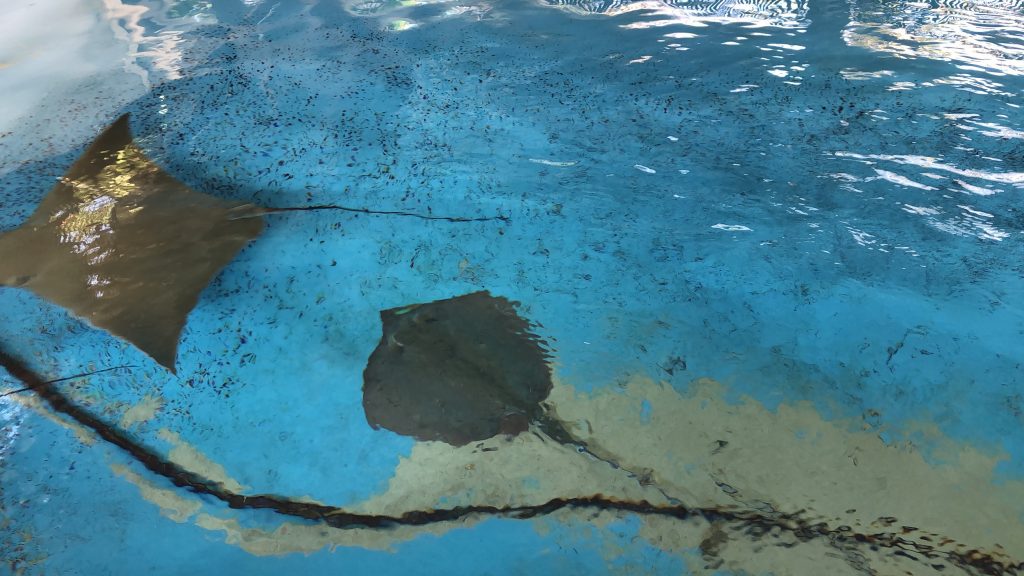 florida oceanographic center