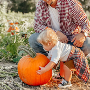 oconee pumpkin picking