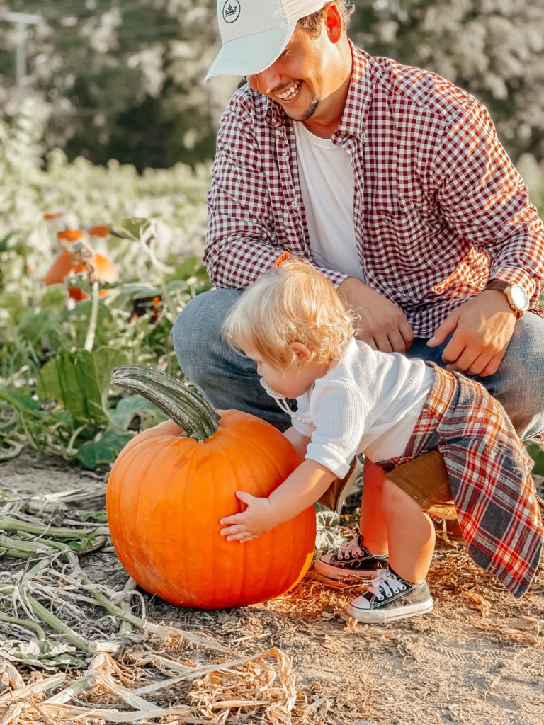 oconee pumpkin picking