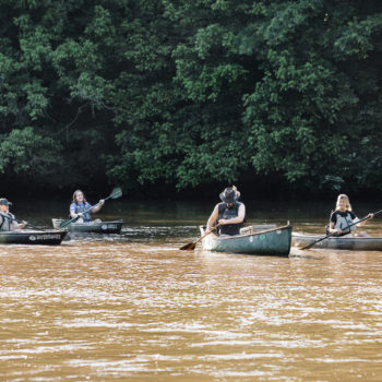oconee joe