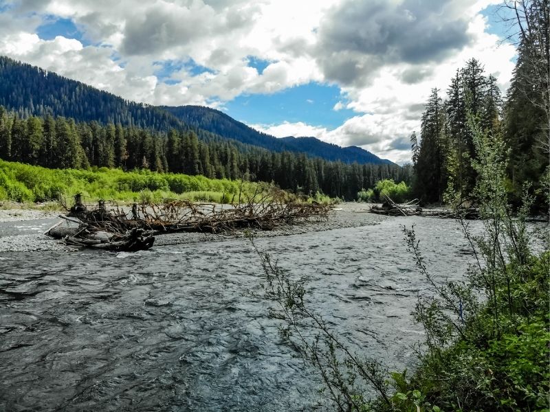 olympic peninsula