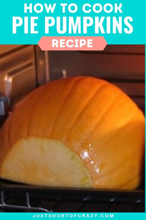 how to cook pie pumpkins
