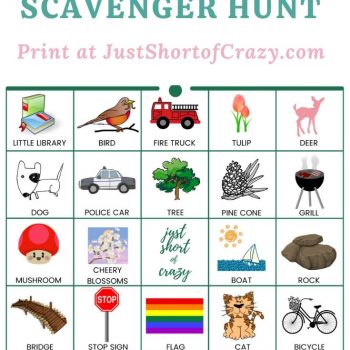 pin scavenger hunt (1)