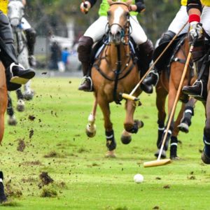 Experience Polo in Aiken – The Equestrian Sport with Southern Charm