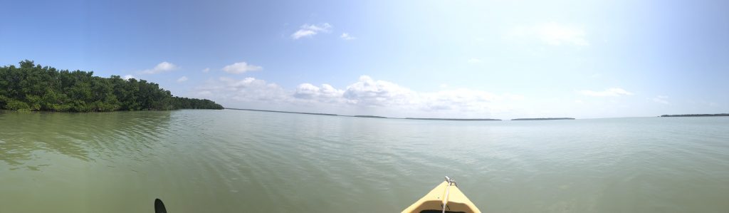 scenic view of everglades national park