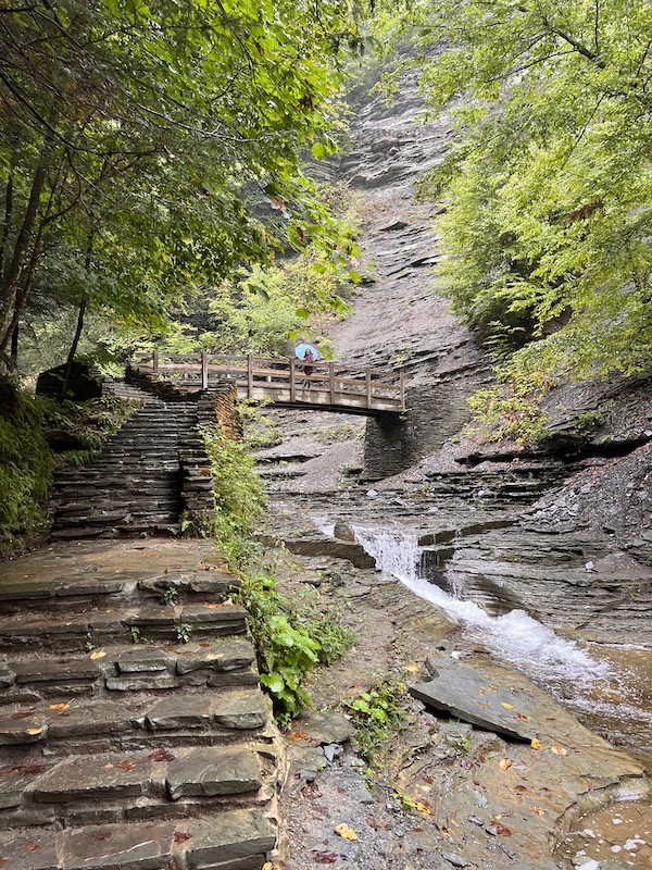 Hikes in the Finger Lakes side view of wooden bridge and river at Stony Brook State Park