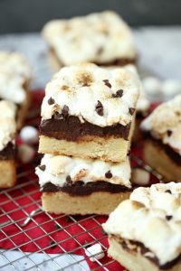 19 Mouth Watering Smore Dessert Recipes
