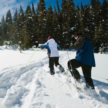 Old Mission Snowshoe Wine & Brew