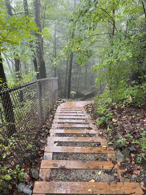 steps on West Rim Trail at Stony Brook State Park - Hikes in the Finger Lakes