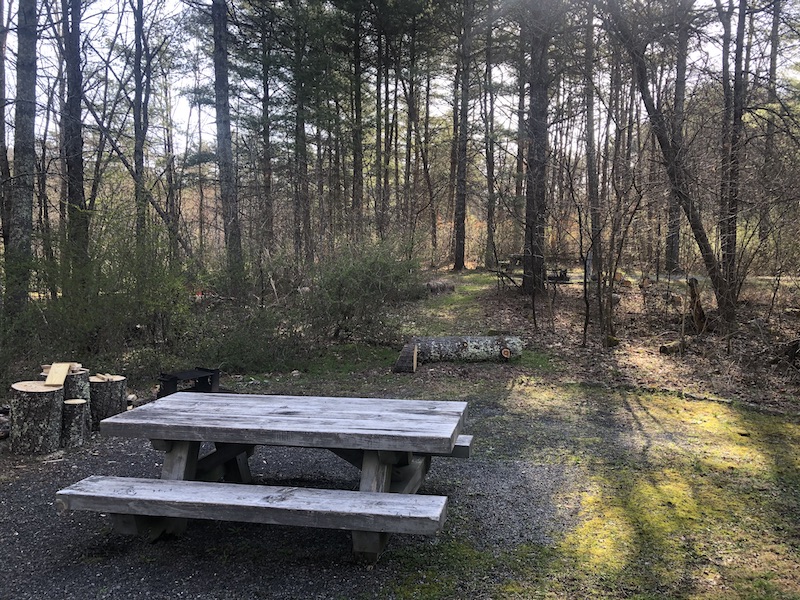 stony fork federal forest campground site 33