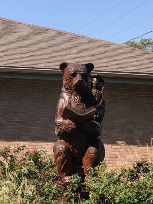 teddy bear at the library