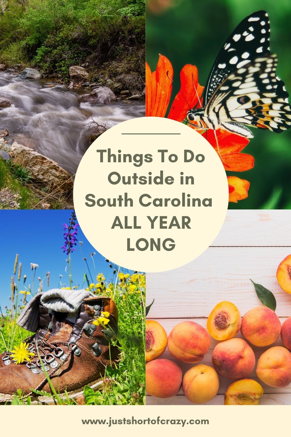 things to do outside in south carolina all year long