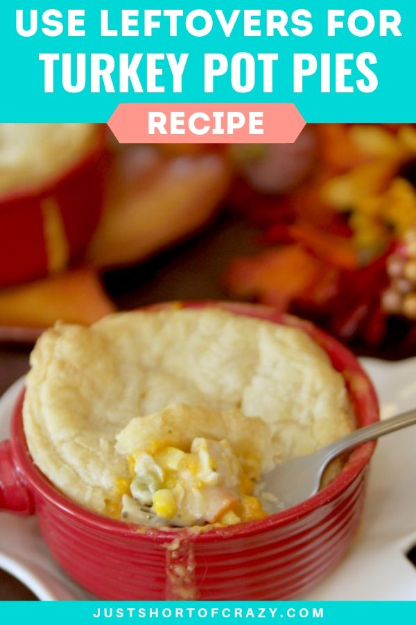 Turkey Pot Pies Recipe Just Short of Crazy