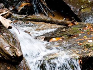Top Outdoor Adventures in Helen, Georgia for Every Skill Level