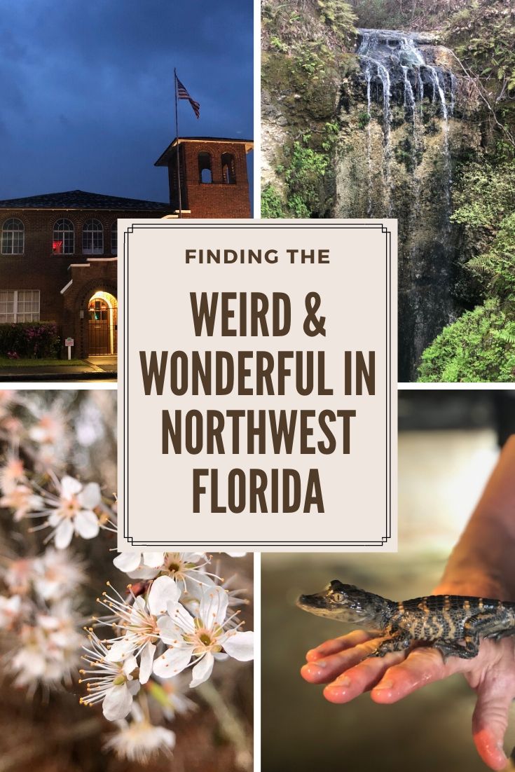 weird and wonderful nw fl