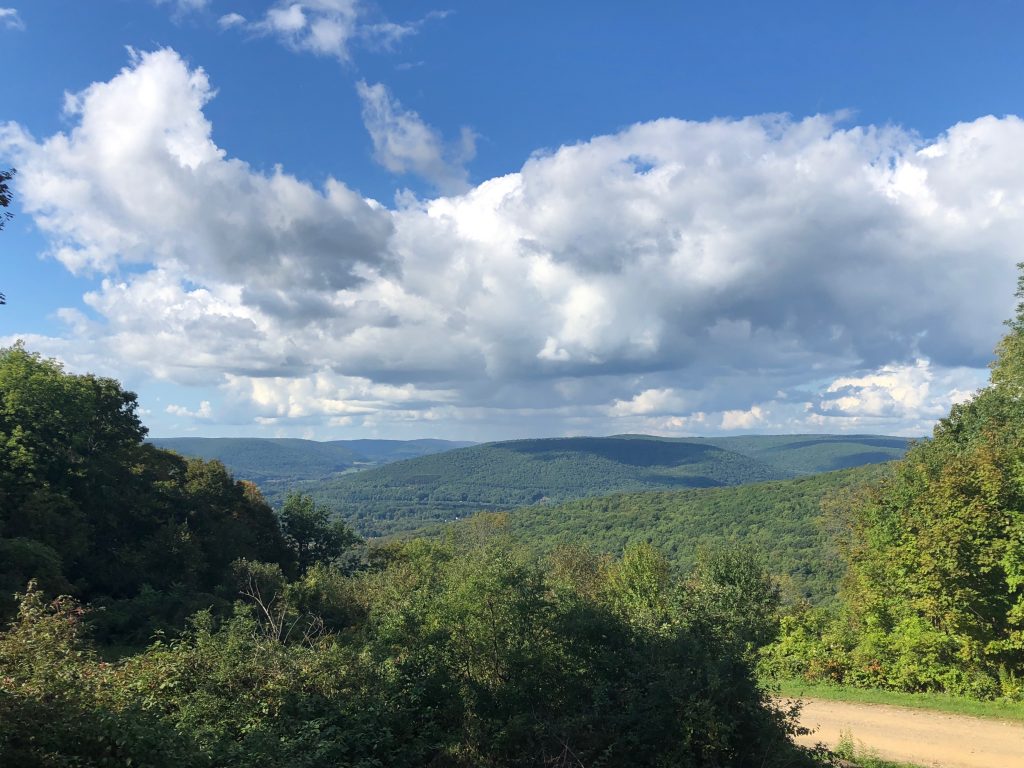 what to do in Allegany State Park