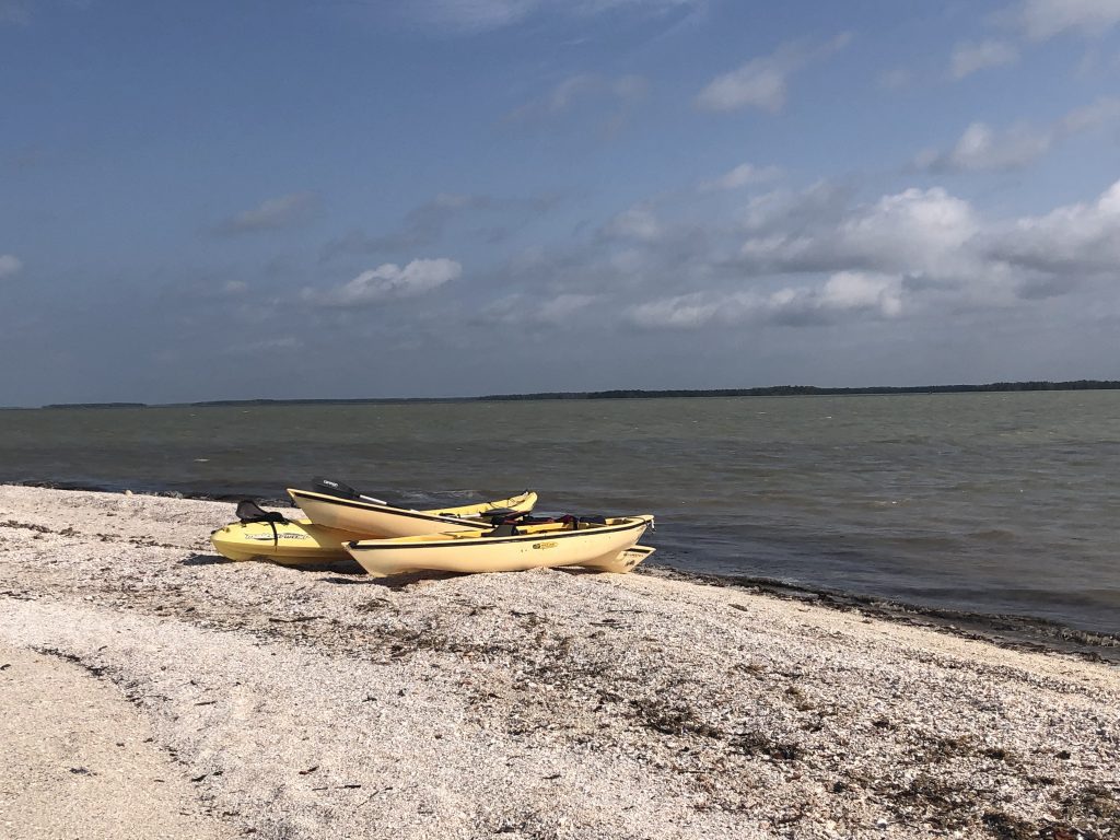 yellow kayaks on the shore of an island in the everglades national park