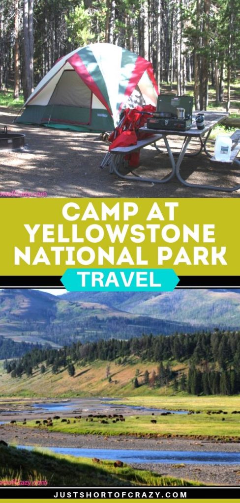 camp at yellowstone National Park