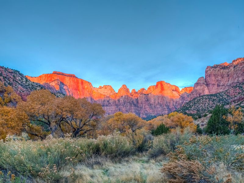 zion national park